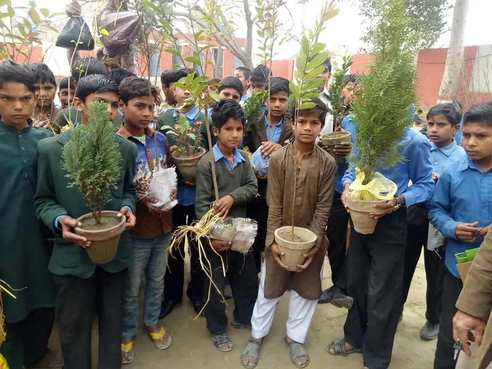 Green Seekers Activity